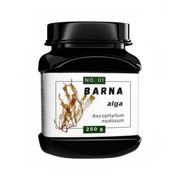 Quebeck Barna alga, fogkő megelőzésre