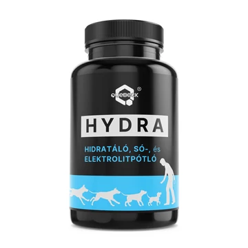 Quebeck HYDRA,  hidrátáló-, sópótló-, elektrolitpótló 50g