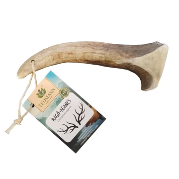 Teomann Szarvas agancs 