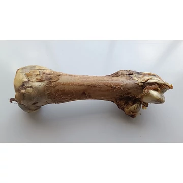 Whizzopet Szárított Strucc combcsont 