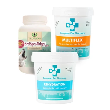 SPORT alapcsomag aktív kutyáknak