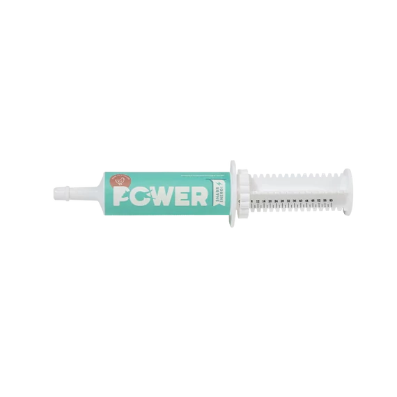 POWER energia paszta kutyáknak, Csirke 60g