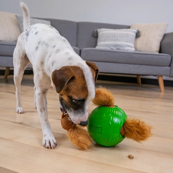 NINA OTTOSSON - Dog Snuffle N' logikai játék (LEVEL 2)