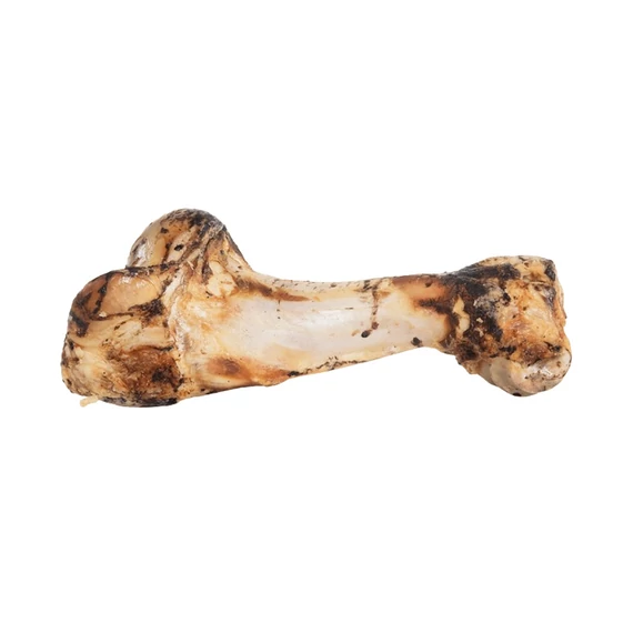 Kivo Dínó csont XL ≈ 33 cm