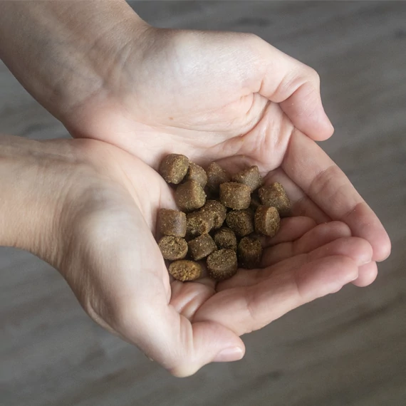 Primal Spirit Iberian Salmon száraztáp 