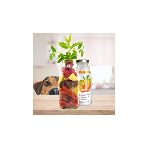 SmoothieDog - Immunerősítő smoothie kutyáknak (marhahússal) 250ml