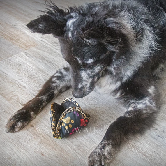 Lótusz labda, motivációs játék - TAPPANCS