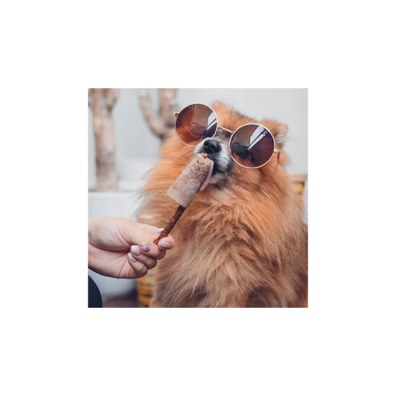Furry Freeze® fagyipor kutyáknak - ANANÁSZ