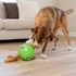 NINA OTTOSSON - Dog Snuffle N' logikai játék (LEVEL 2)