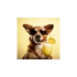 SmoothieDog - Nyúlhús smoothie kutyáknak 250ml - Summer Edition