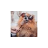 Furry Freeze® fagyipor kutyáknak - ANANÁSZ